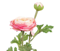 Alternative image