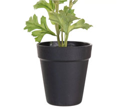 Alternative image