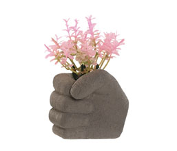 Alternative image