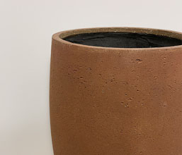 Alternative image