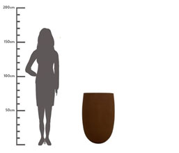 Alternative image
