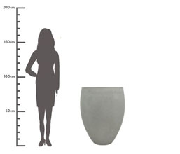 Alternative image