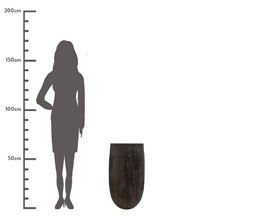 Alternative image