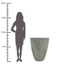 Alternative image