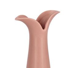 Alternative image