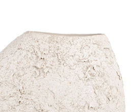 Alternative image