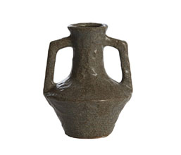 Alternative image