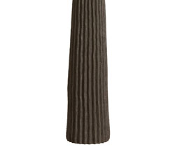 Alternative image