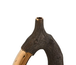 Alternative image