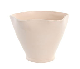 Alternative image