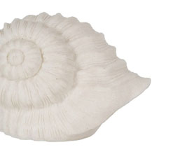 Alternative image