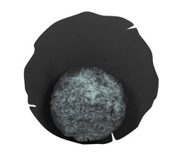 Alternative image