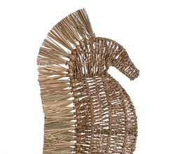 Alternative image
