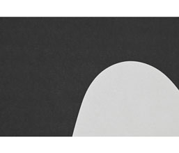 Alternative image
