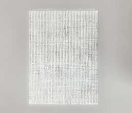 Alternative image