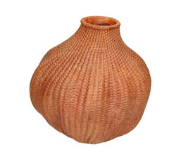 Alternative image